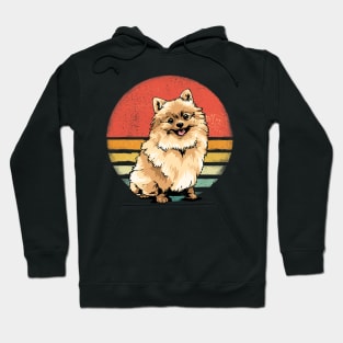 Pomeranian Dog Lover Retro Vintage 70S Hoodie